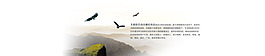 簡潔大氣banner