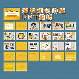 寵物知識(shí)講座PPT模版