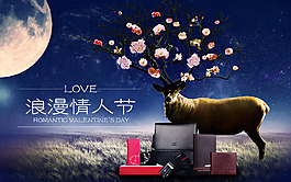 浪漫情人节美丽星空花朵