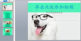 狗狗類ppt模板