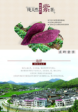 紫薯淘寶詳情