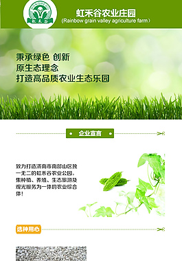 农业果蔬菜微信店铺详情页