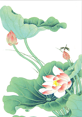 中國話水彩荷花蜻蜓ps摳圖下載