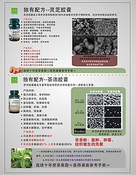 灵芝胶囊单页模板图片