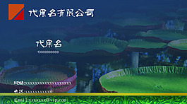 實用名片卡片