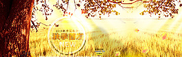 淘寶海報(bào)