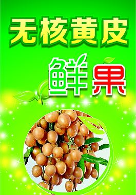 無核黃皮鮮果展板