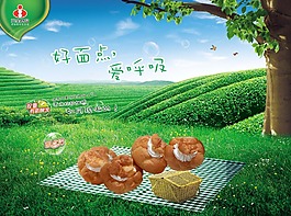 雙匯 食品 廣告