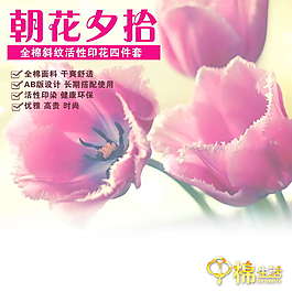 淘寶女士直通車素材