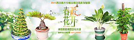 淘宝花卉海报