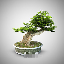 中式盆景設計素材3D模型素材