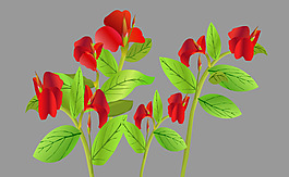 紅色的花朵flash