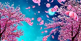 花瓣飘落舞蹈节目背景