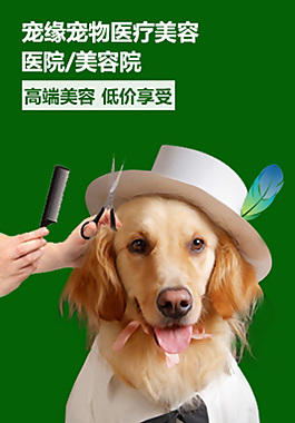 醫療美容