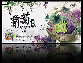 水果葡萄
