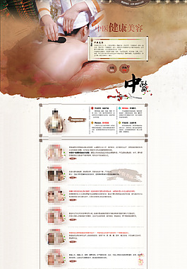 中医美容专题