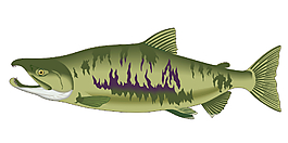 熱帶魚
