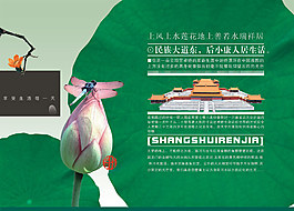 荷葉荷花海報
