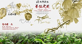 養生保健