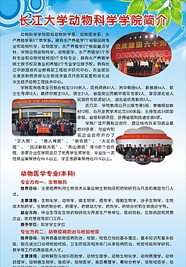 学校易拉宝