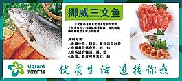 三文魚推薦展板