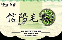 茶葉信陽毛尖展牌