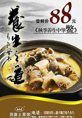 中華鱉中國(guó)風(fēng)海報(bào)