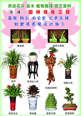 画册图片苗圃名片图片苗圃招牌图片苗木宣传彩页盆景花卉单页榛子
