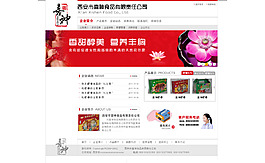 首頁設(shè)計