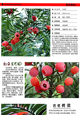 寶貝詳情頁(yè)