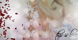 玫瑰花瓣婚慶模板