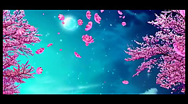 櫻花飄落