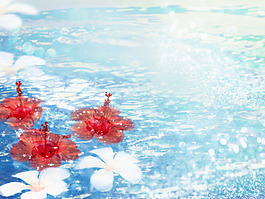 藍色花朵背景