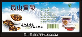 昆山雪菊