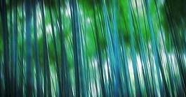 竹夢舞臺LED背景