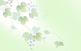 葡萄葉子背景