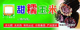 甜糯玉米