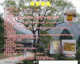 降香黃檀