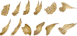 翅膀 wing 金色