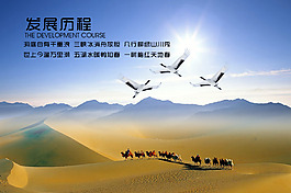发展历程