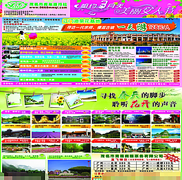 青年旅行38宣传单