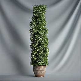 植物裝飾3D模型素材