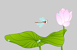 水滴在蓮花上flash