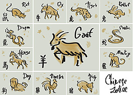 動(dòng)物設(shè)計(jì)圖