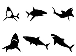 鯊魚設(shè)計圖