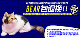 愛梵淘寶海報設計950像素高清psd下載