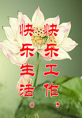 企業(yè)文化