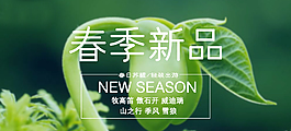 淘寶素材 春季新品