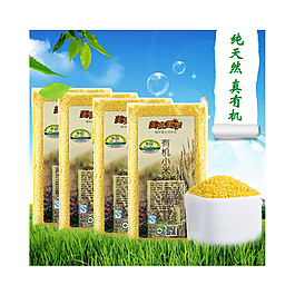 直通車海報(bào)
