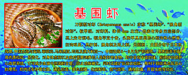 基圍蝦